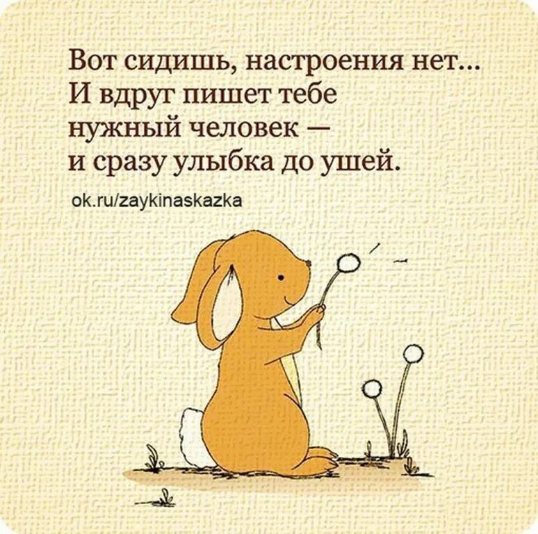 Совсем нет настроения что делать. Настроение нет статус. нет настроения цитаты. нет настроения картинки. когда нет настроения статусы.