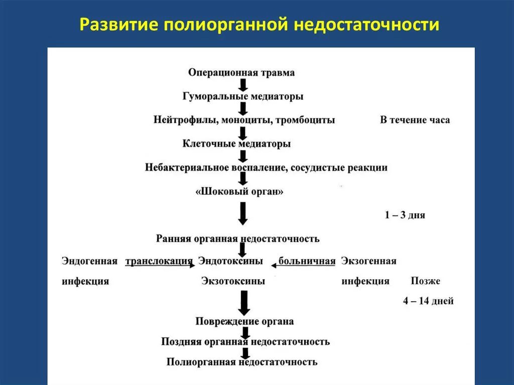 Причины развития сердечной недостаточности. Назовите основной клинический симптом сосудистой недостаточности?. Механизм развития сердечной недостаточности. Механизмы компенсации хсн. Парциальное развитие впф.