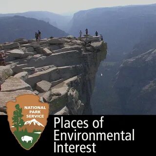 Are you interested in the environment