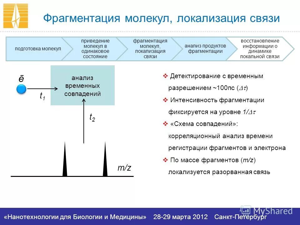 Связь анализ развития