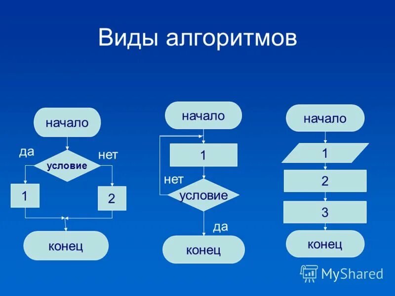 Виды алгоритмов 5 класс