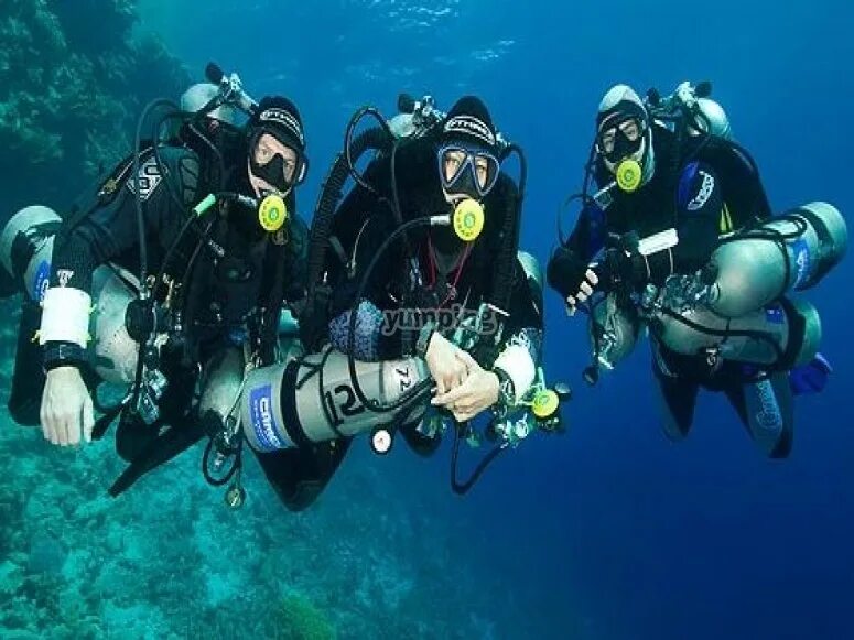 водолаз на глубине. Dive too. аква weekend. дайвинг scuba. Dive too.