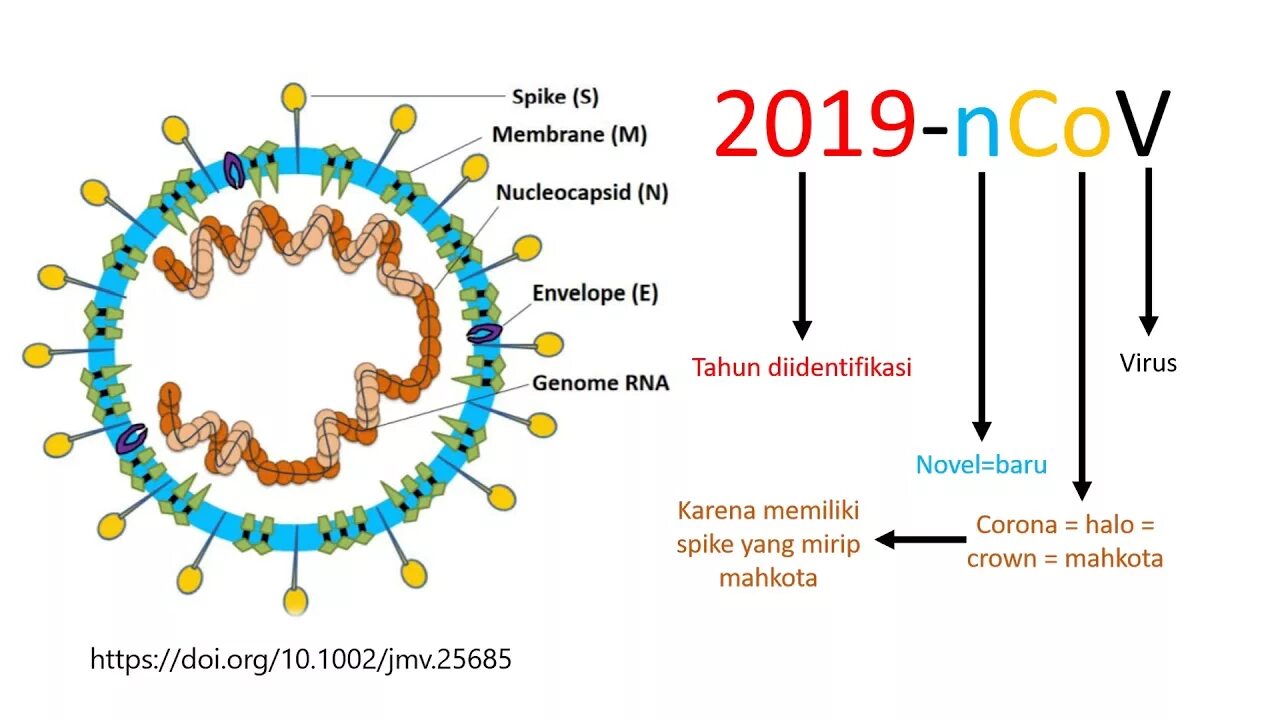 Коронавирус 19 строение вируса. Структура вируса коронавируса. Структура вируса ковид 19. Коронавирус схема вируса. Коронавирус означает