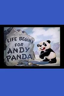 Panda where are you