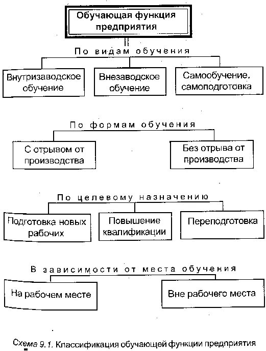 Функции обучения персонала организации. Классификация обучающей функции предприятия. схема организации повышения квалификации. схема обучения типов сотрудников. функции обучения персонала.