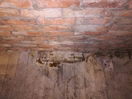 Грибок. - Сообщество "Гараж Мечты" на DRIVE2