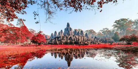 Природа камбоджи