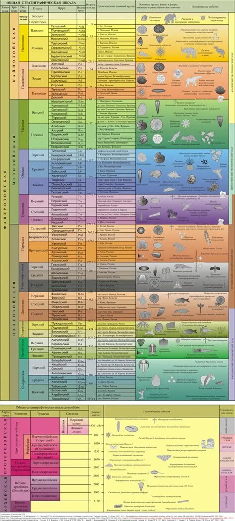 Международная стратиграфическая шкала. Всегеи шкала. Стратиграфическая шкала вендская система. Стратиграфическая шкала с матрицей. Стратиграфическая шкала с ярусами.