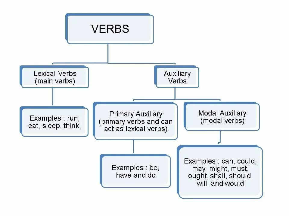 Verbs function. Main verbs в английском языке. Auxiliary verbs в английском. Main verb в английском. Auxiliary verbs примеры.