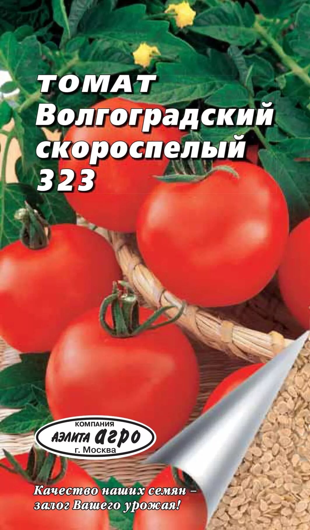 Томат волгоградский скороспелый характеристика фото. Помидоры Волгоградский скороспелый 323. Семена томат Волгоградский скороспелый 323. Сорт помидор Волгоградский скороспелый.