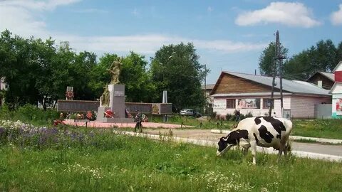 Белым поселок свердловская область