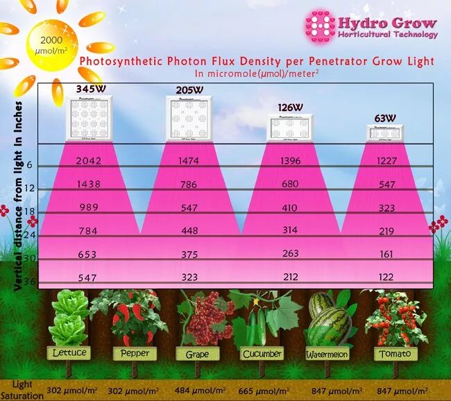 Сколько надо подсвечивать. Таблица ДНАТ лампы люменов. ДНАТ 600 ватт Люксы таблица. Норма света для подсветки рассады. Освещение в люксах для растений.