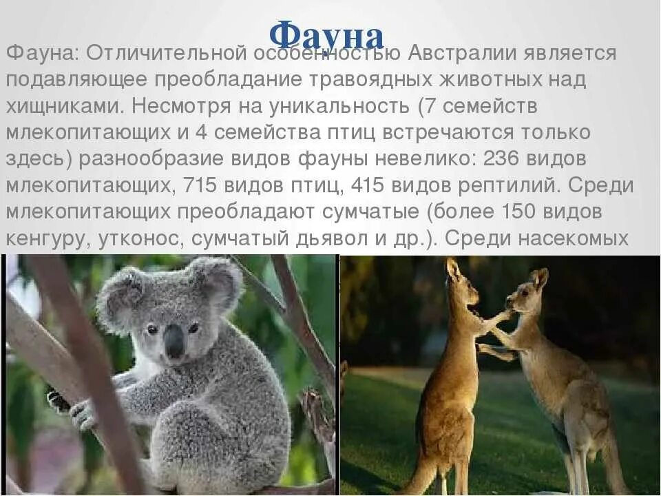 Жив австралии: найдено 84 картинок