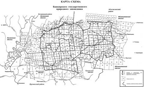 Границы кварталов лесничеств