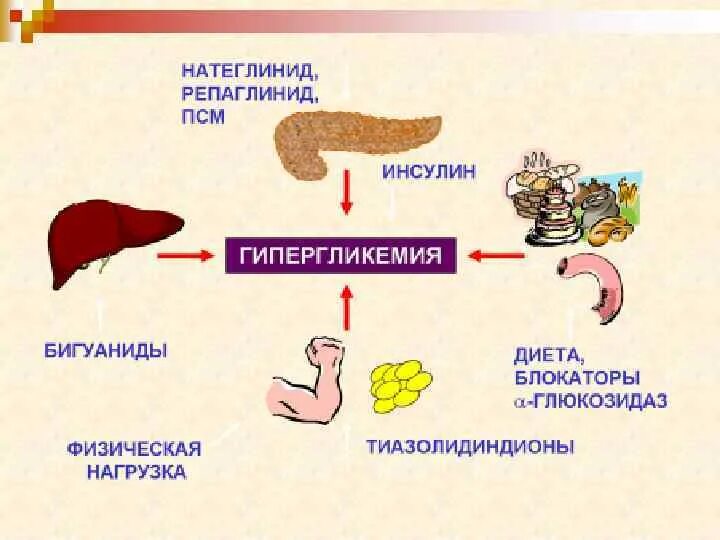 Осложнения инсулиннезависимого сахарного диабета. Инсулинозависимый и инсулиннезависимый сахарный. Инсулиннезависимые клетки. Отличия инсулинзависимого и инсулиннезависимого сахарного диабета. Инсулиннезависимый ткани.