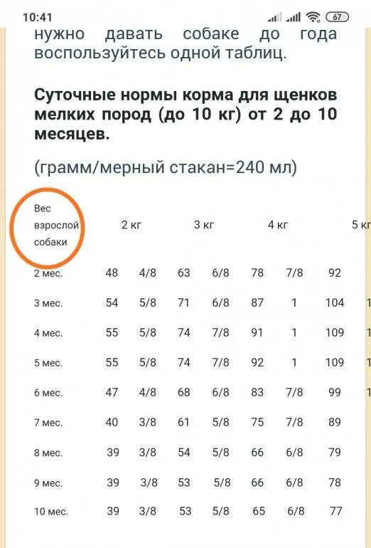 Сколько весит взрослый лабрадор. Вес лабрадора в 2 месяца. Вес лабрадора в 2 месяца норма таблица. Вес щенка лабрадора по месяцам таблица. Щенок лабрадора 2 месяца рост.