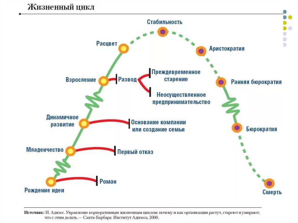 Организация ее жизненный цикл. Жизненный цикл компании Младенчество. Жизненный цикл организации по Бостон. Жизненный цикл работника в организации. Стадии жизненного цикла сотрудника.