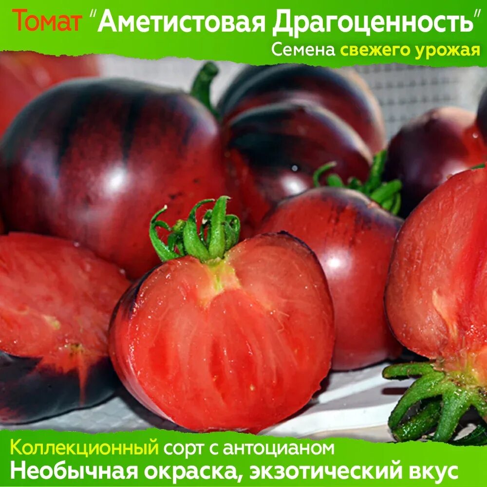 Томаты сорт драгоценность. Томат аметистовая драгоценность. сорт помидор аметистовая драгоценность. семена томат (помидор) аметистовая драгоценность. томат аметистовая драгоценность семена.