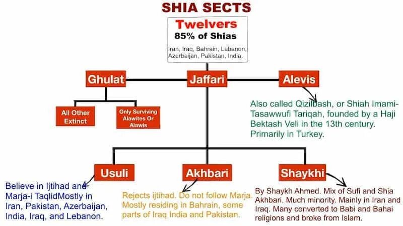 Include within. Shia only. Sunni and Shia Muslims Islaam similarities and differences.