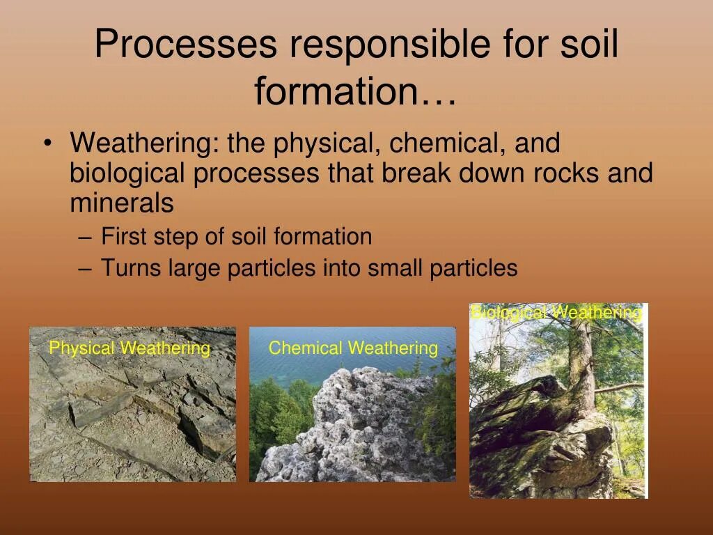 Soil processing. Soil formation. soil formation processes. physical weathering. biological type of weathering.