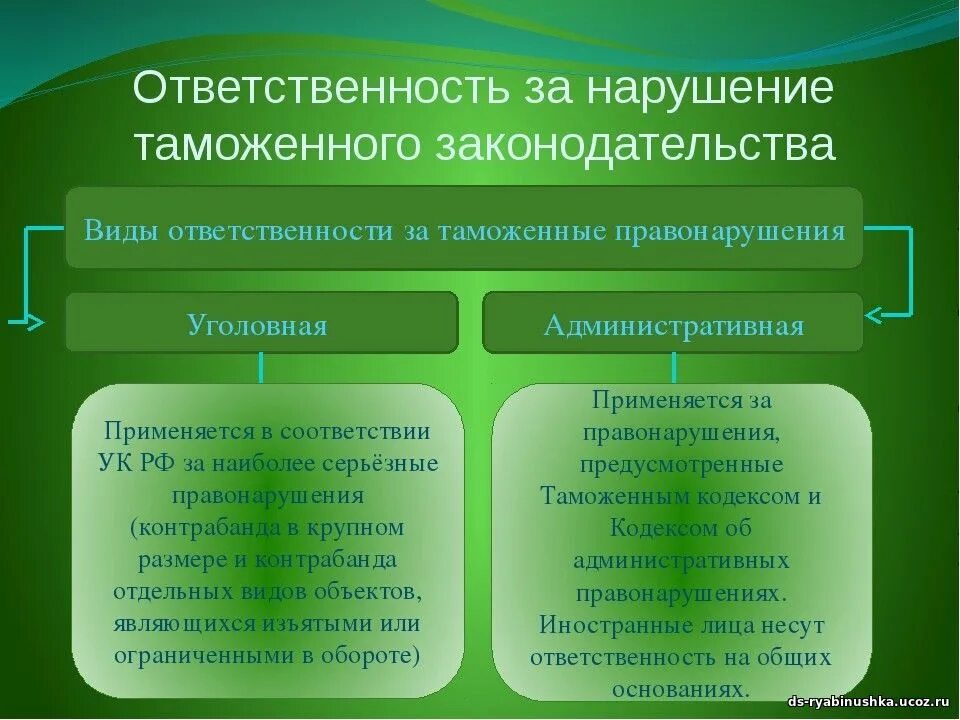 Процесс рассмотрения административного правонарушения. Ответственность за таможенные правонарушения. Ответственность за нарушение таможенных правил. Административная ответственность в сфере таможенного дела.