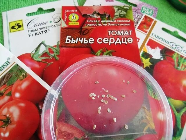 Замоченные семена помидор. Протравливание семян перца. Протравливание семян томатов. Замочить семена помидор перед посадкой. Можно замачивать семена в хлоргексидине