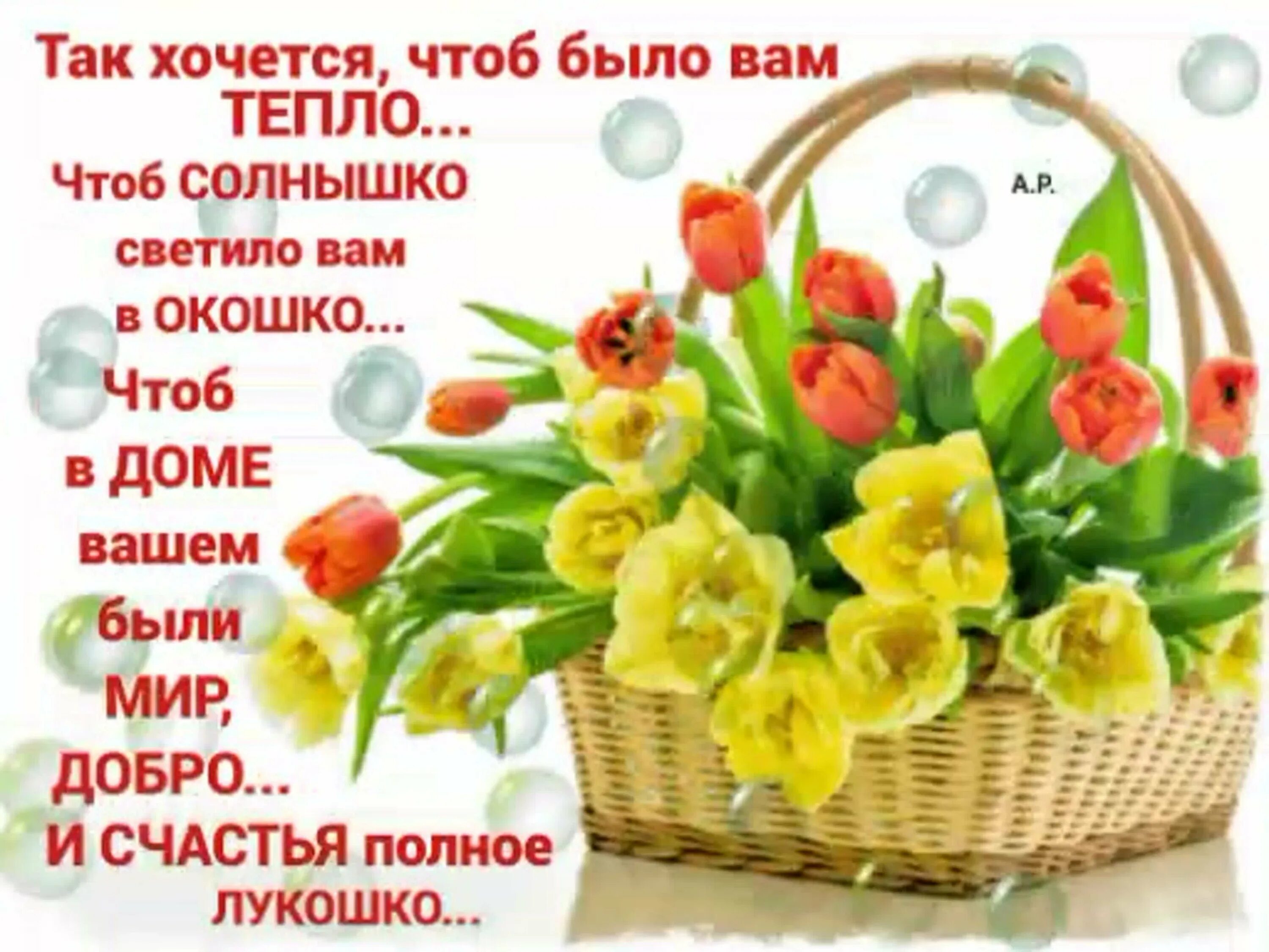 Пусть любовь наполнит дом