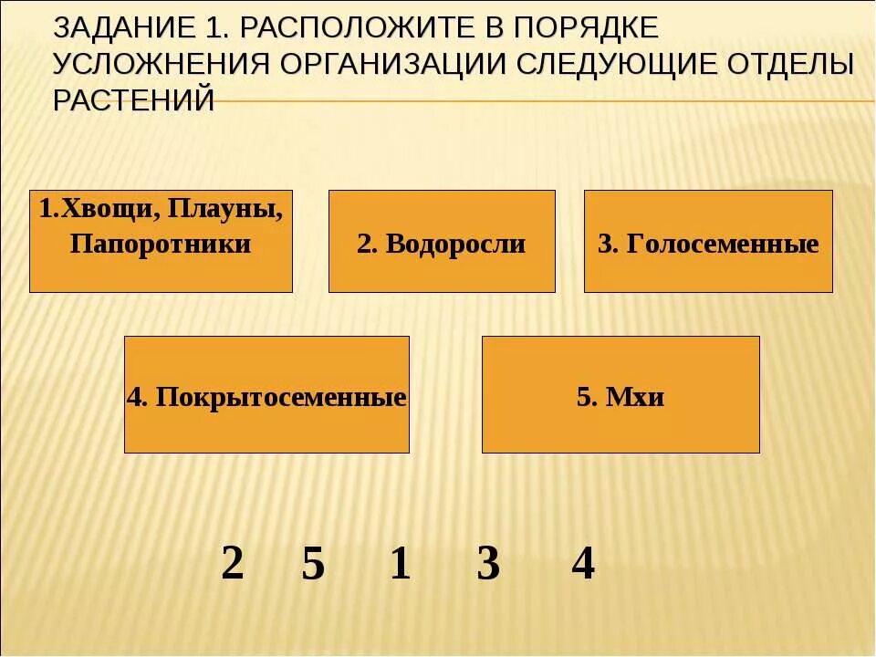 Усложнение организации покрытосеменных. Отделы растений в порядке усложнения их организации.. В порядке усложнения организации. Усложнение организации растений. Расположите в порядке усложнения строения отделы растений.