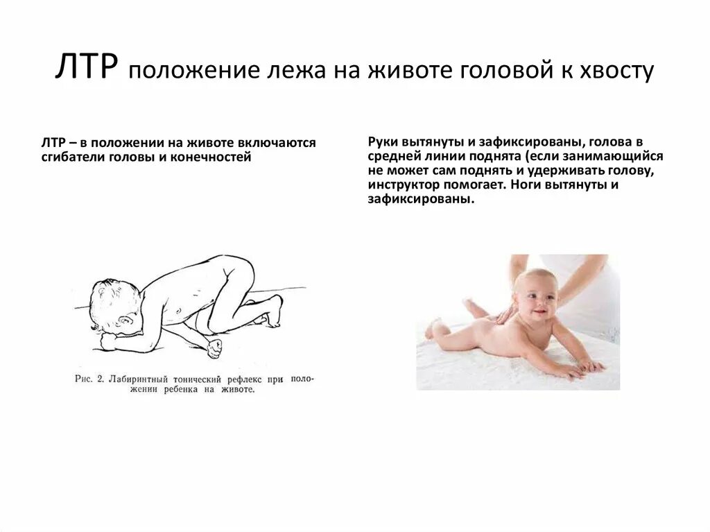 В каком положении лучше держать. Лабиринтно тонический рефлекс у детей. ребёнок держит голову лежа на животе. во сколько ребенок начинает держать голову. ребенок должен держать голову лежа на животе.