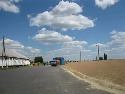Погода в ягодном