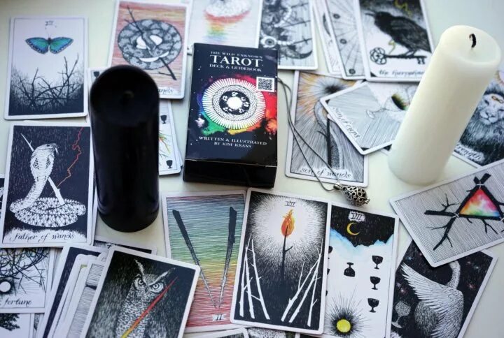 Дикое неизвестное таро. The Wild Unknown Tarot. The Wild Unknown Tarot галерея. Дикое неизвестное Таро галерея.