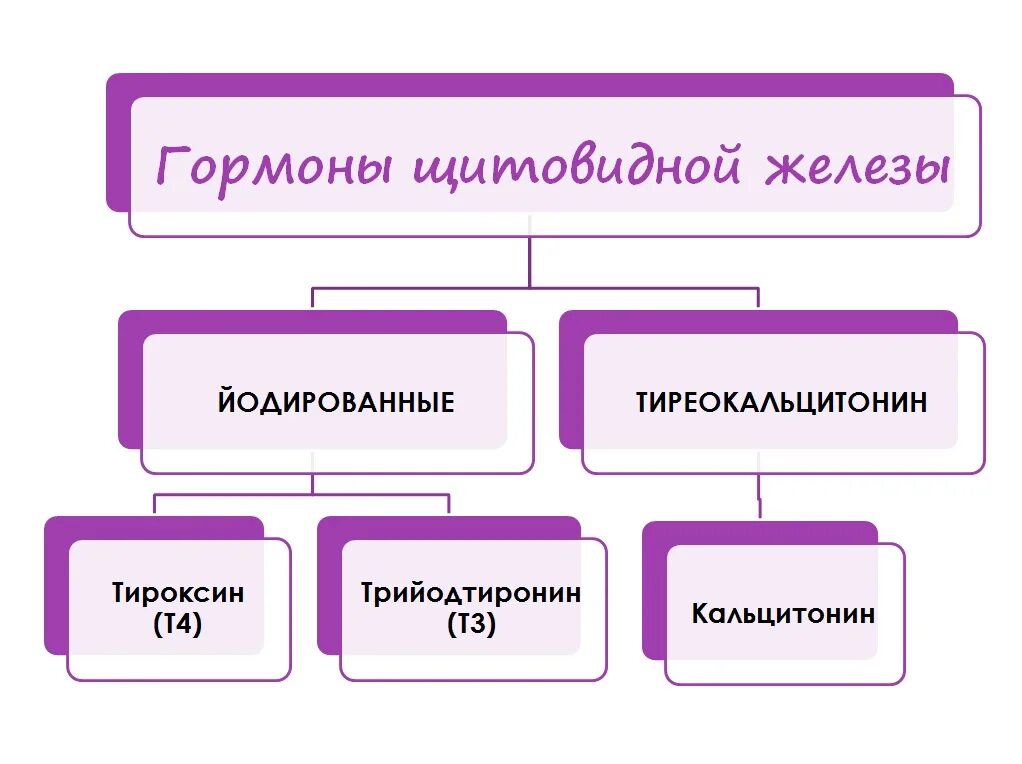 Гормон с-клеток щитовидной железы. Элемент входящий в состав щитовидной железы. Какой элемент входит в инсулин. Железистый эпителий поджелудочной железы. Элемент входящий в состав щитовидной железы.