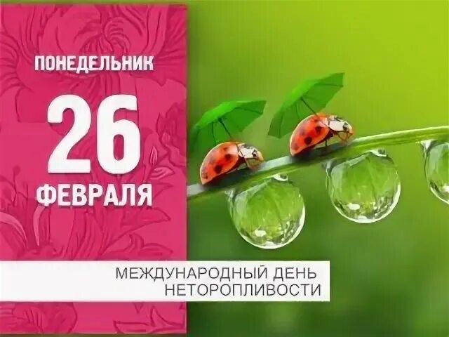 Международный день неторопливости 26. Международный день неторопливости. Международный день неторопливости 26 февраля. День неторопливости открытки. Всемирный день неторопливости картинки.