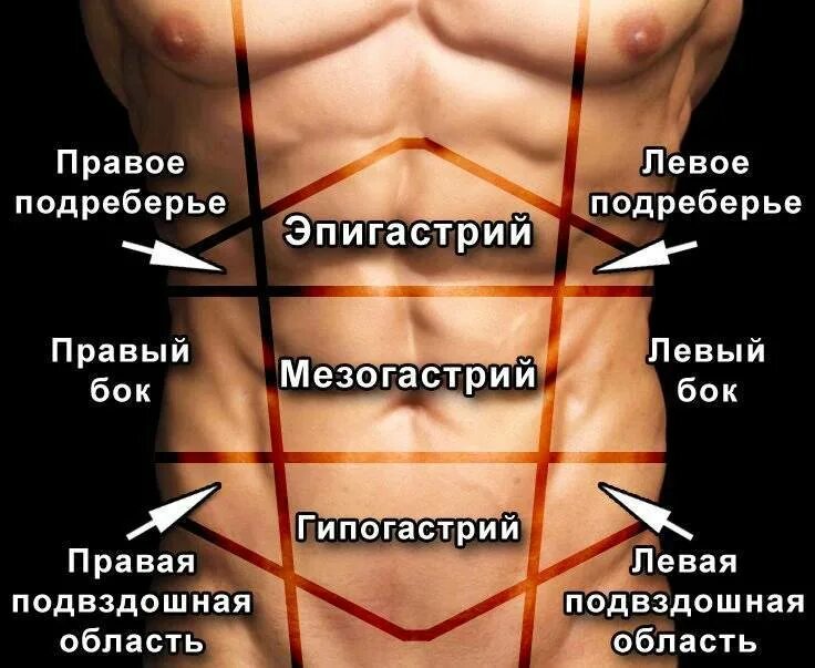 Низ живота с левой стороны у мужчин