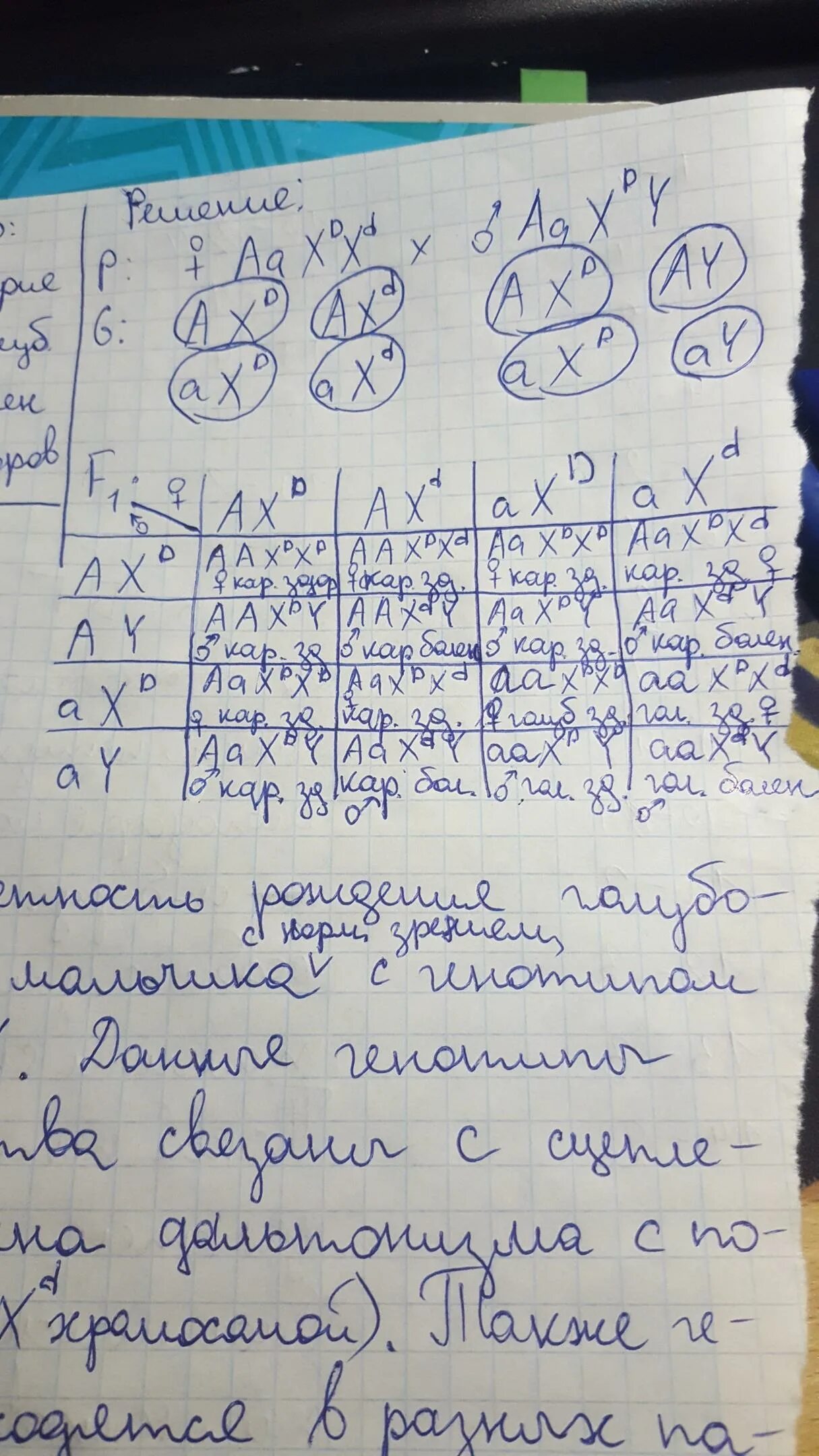 Девушка имеющая нормальное зрение отец которой. Кареглазая женщина правша вышла замуж за мужчину с таким же фенотипом. женщина правша с карими глазами и нормальным зрением выходит замуж. кареглазая правша выходит замуж за мужчину с таким же фенотипом. у родителей имеющих нормальное зрение 2 дочери с нормальным зрением.
