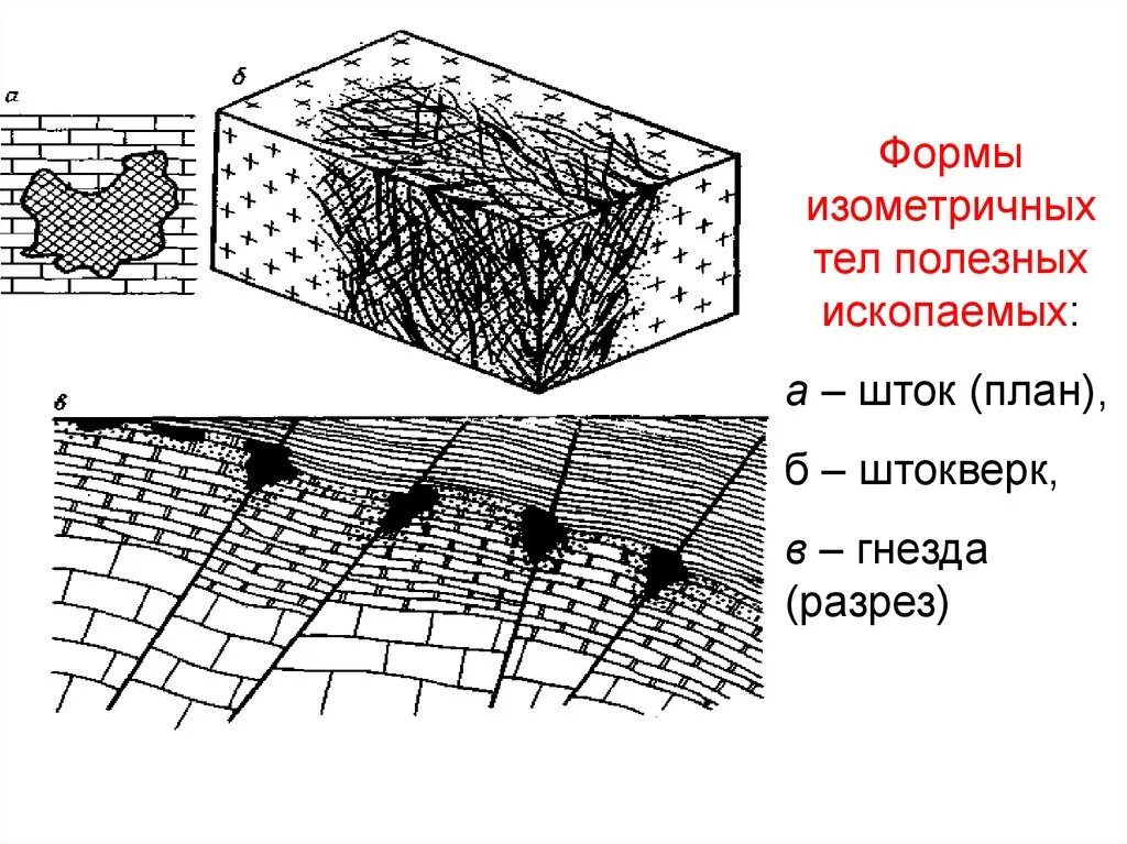Сеноманская залежь. Тектонически экранированная залежь. Формы рудных тел полезных ископаемых. Подсчет запасов методом геологических разрезов. Основные формы залегания месторождений.