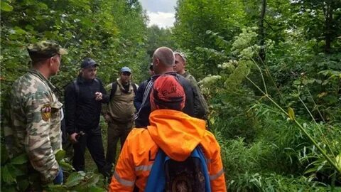 Дети потерялись в лесу