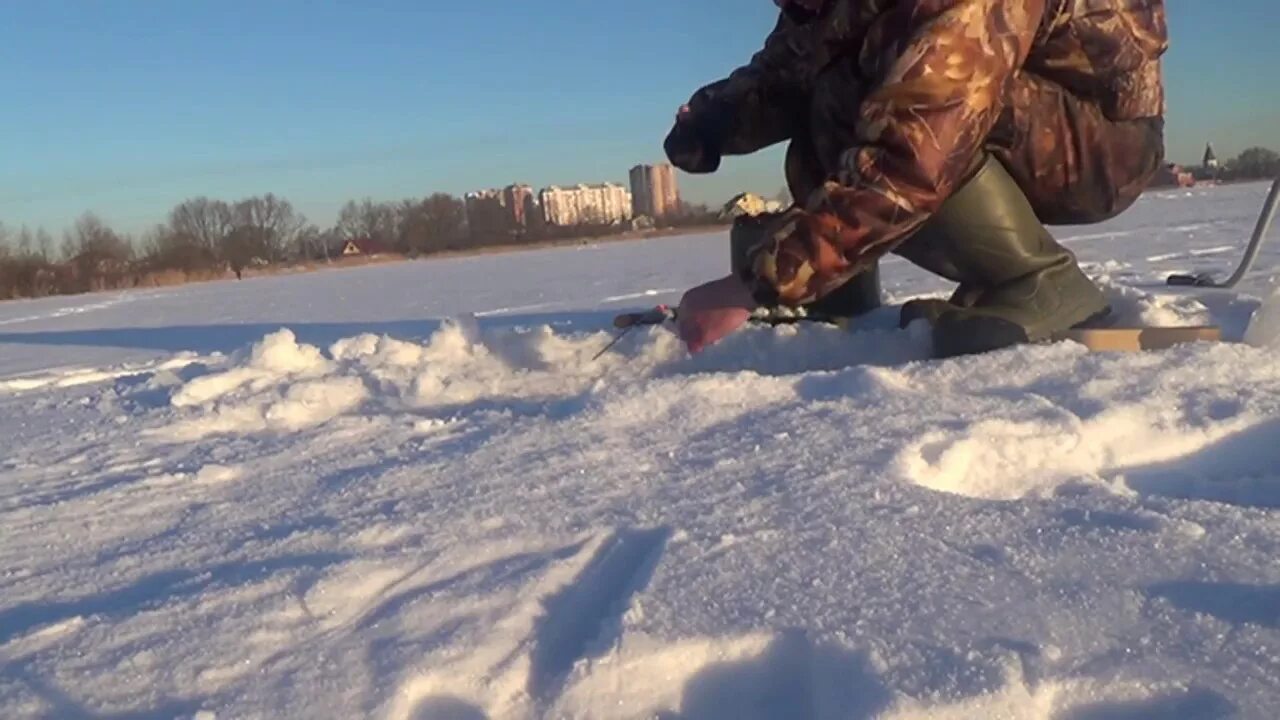 Рыба на медвежьих озерах. Медвежьи озёра Московская область рыбалка. Медвежьи озера зимой Щелково. Зимняя рыбалка в Подмосковье медвежии озеро. Медвежьи озера рыбалка зимой.