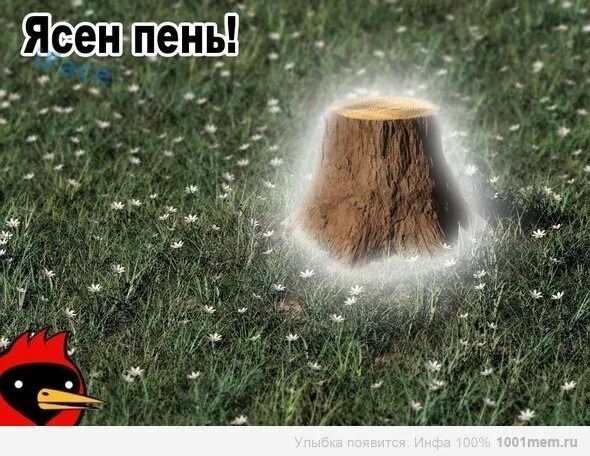 Исполняют ясно