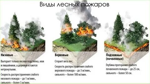 Тест виды пожаров