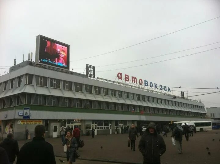 Касса автовокзала москва. Автовокзал Центральный Щелковское шоссе 75. Автовокзал Центральный Щелковский Москва. Центральная Щелковская автостанция Москва. Москва Щелковское шоссе 75 автовокзал.