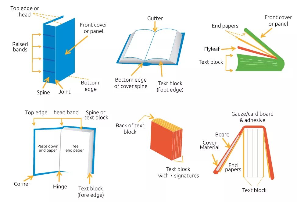Parts of a book. Part книги. Из чего состоит книга. Book Parts. Parts of the book in English.