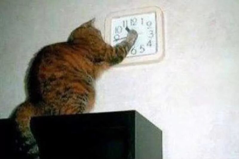 Why you are late does not