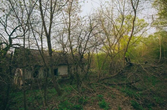 Подслушано шилово вконтакте. Кочугуро Выселки Милославский район. Осиново-Шилово Скопинский район. Рязанская область Милославский район поселок Южный. Поселок копи Рязанская область.