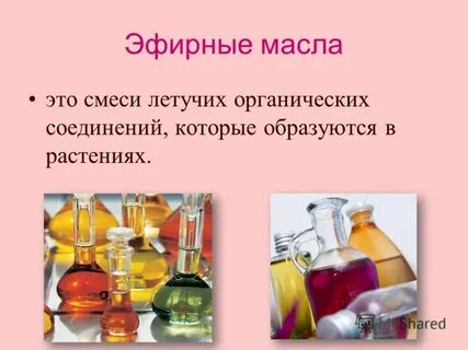 Вещества содержащие эфирные масла