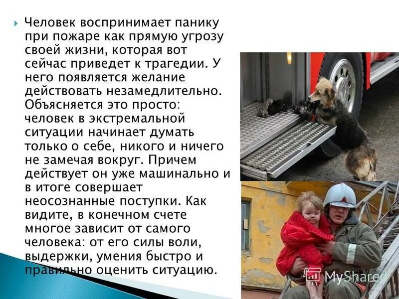 Спасение диких животных. Человек попавший в чрезвычайную ситуацию. Мчс россии ликвидация последствий. Аварийно-спасательные работы. Спасение животных попавших в беду.
