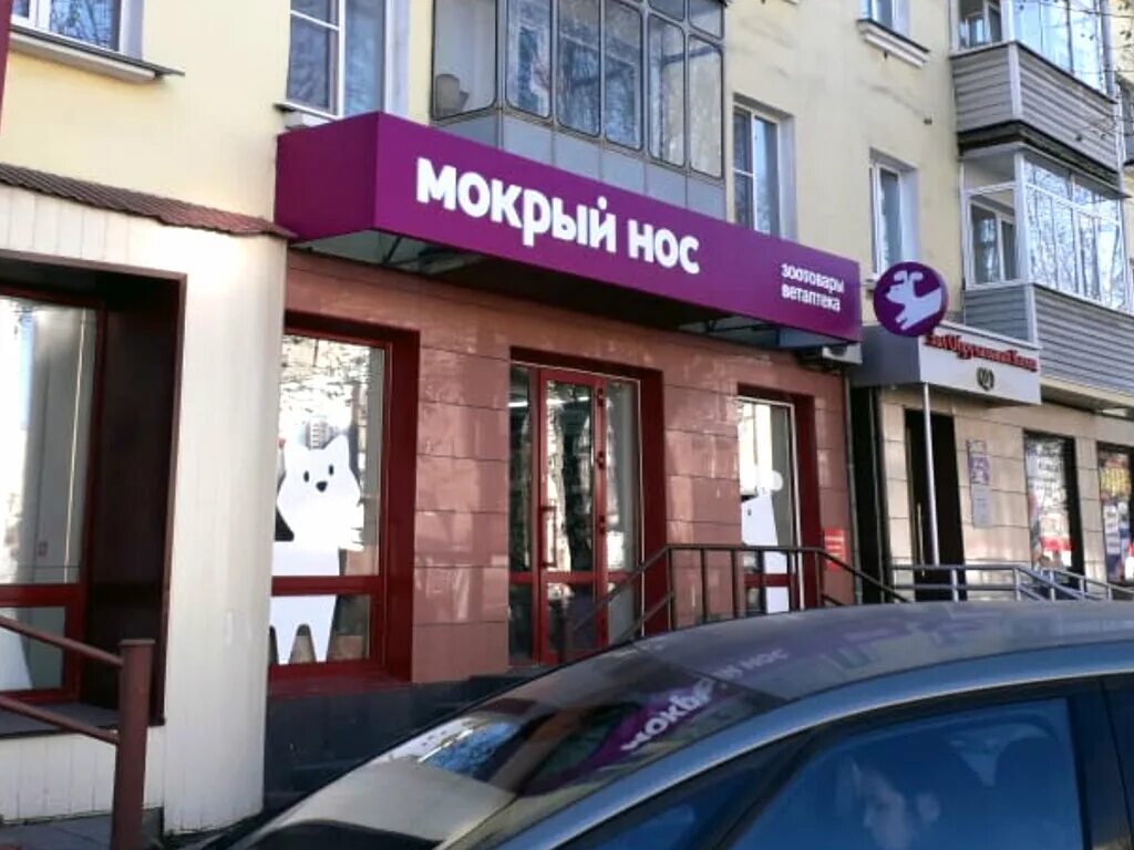 ногинск ул декабристов 1 б. клиника мокрый нос обнинск. мокрый нос логотип. мокрый нос ногинск. мокрый нос обнинск.