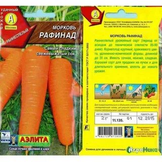 Морковь для сибири