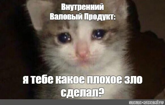 Плачущий банан мем. Кот плачет. Кот плачет Мем. Грустный кот. Грустный Плачущий кот.
