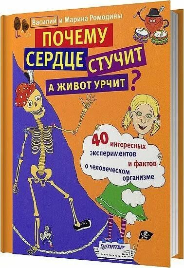 Почему сердце стучит. Почему сердце стучит а живот урчит книга. Почему стучит сердце Ромодин. Почему сердце стучит в животе. Почему стучит живот